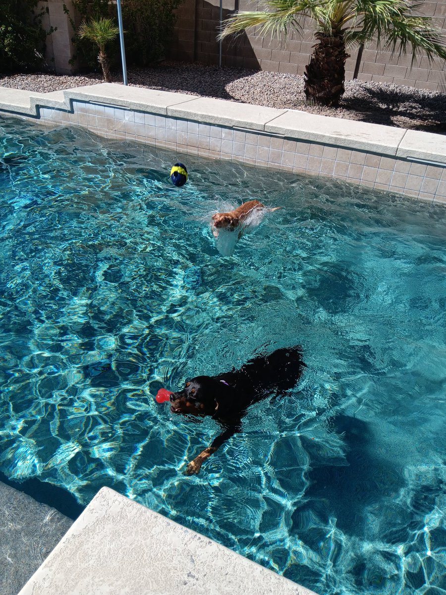 Hey...how's fall treating you so far?
Meanwhile in Phoenix....