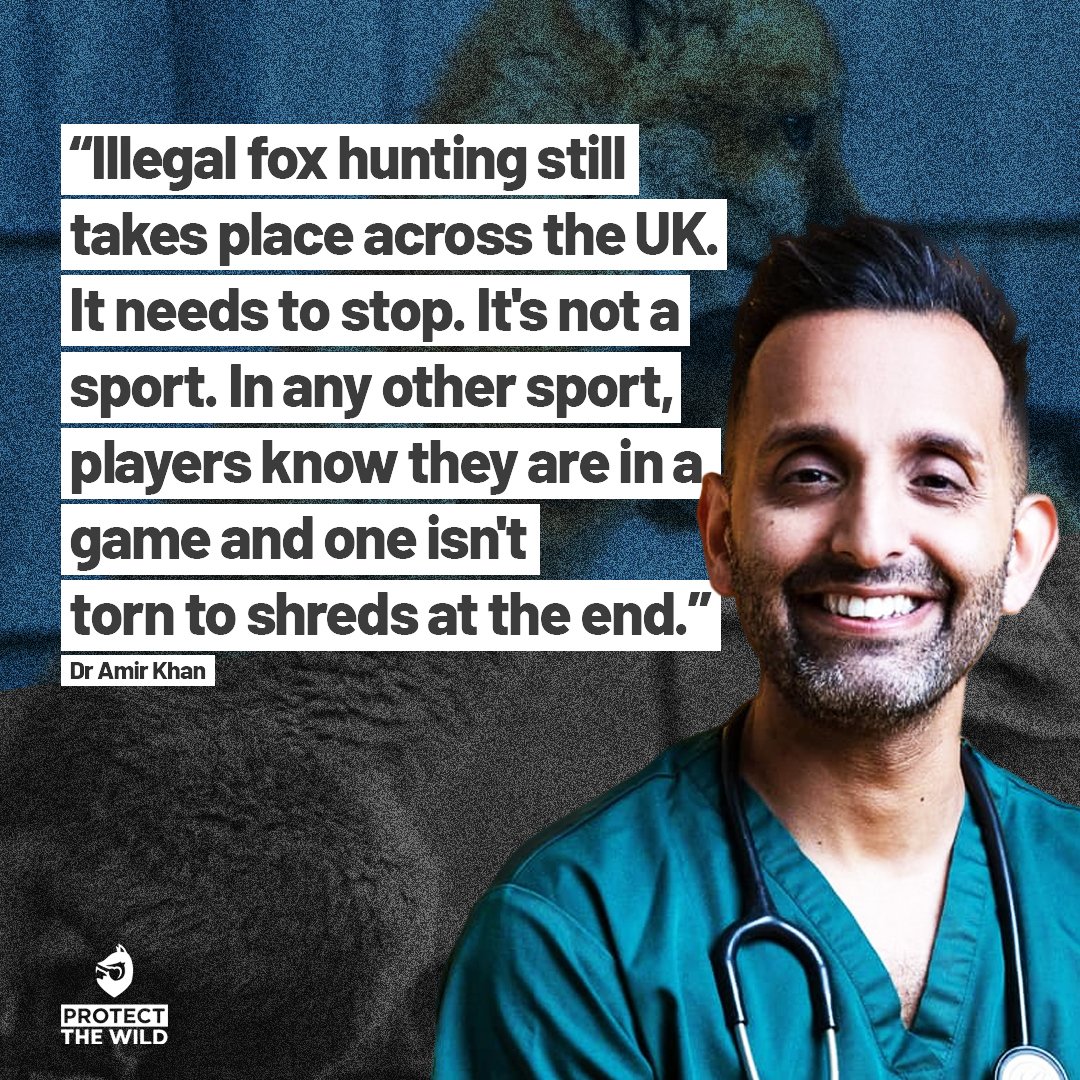 Protect the Wild tweet media