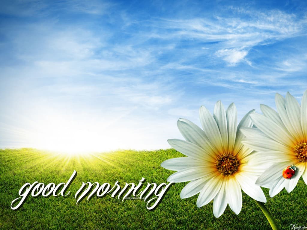 GoodMorning_CVC's tweet photo. “Chúc bạn một ngày mới đầy năng lượng và sáng tạo!” !Năng lượng và sáng tạo https://t.co/8JHTWbX7Ht
