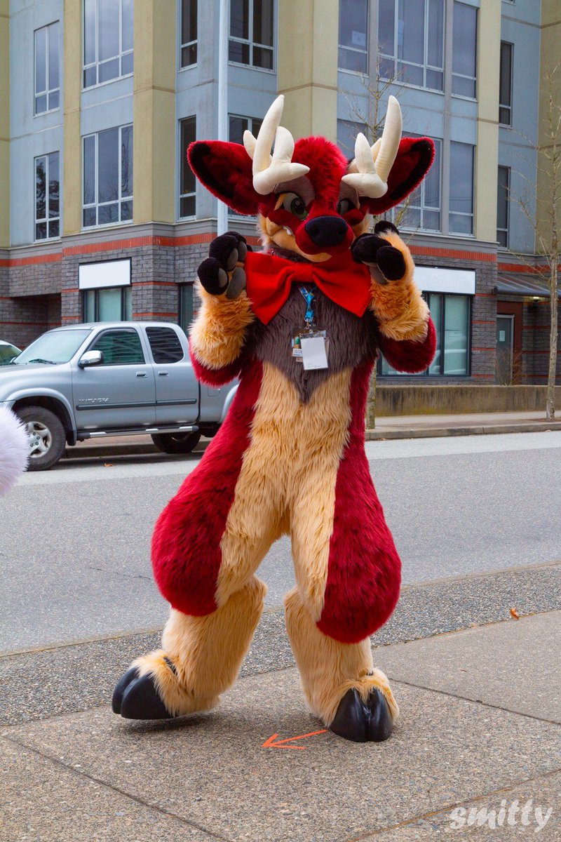 Got to rock the bowtie for #FursuitFriday #morefurless #VF2024 
suit by <a href="/MoreFurLess/">More Fur Less</a> 

photo by <a href="/SmittyFurry/">Smitty</a>