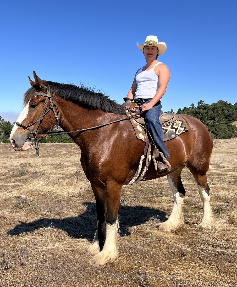 777Heav3n's tweet photo. 🐴 🤠 https://t.co/sQ4FHHJVtg