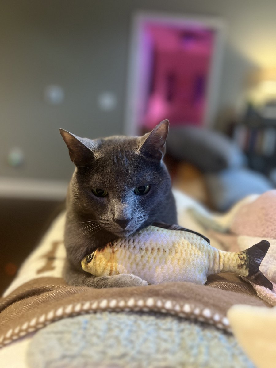 caught a fish for u my love