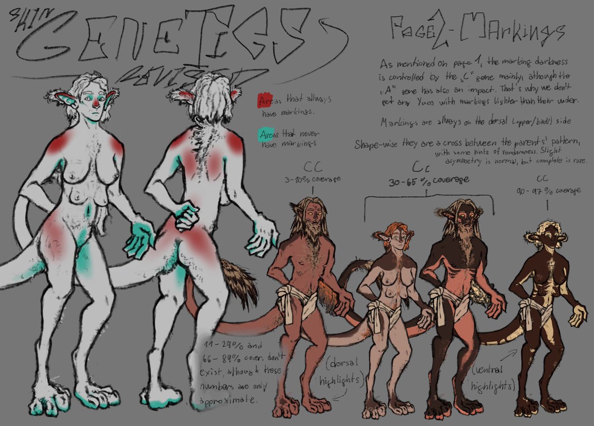 lizardsaurus's tweet photo. Been workin on the cat people’s genetics a bit #specbio #speculativebiology #worldbuildingproject https://t.co/RN4ThrhAo3