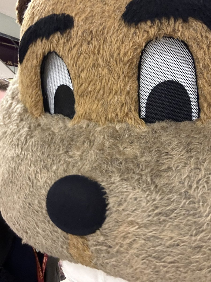 Allison J. Steinke, Ph.D. tweet media