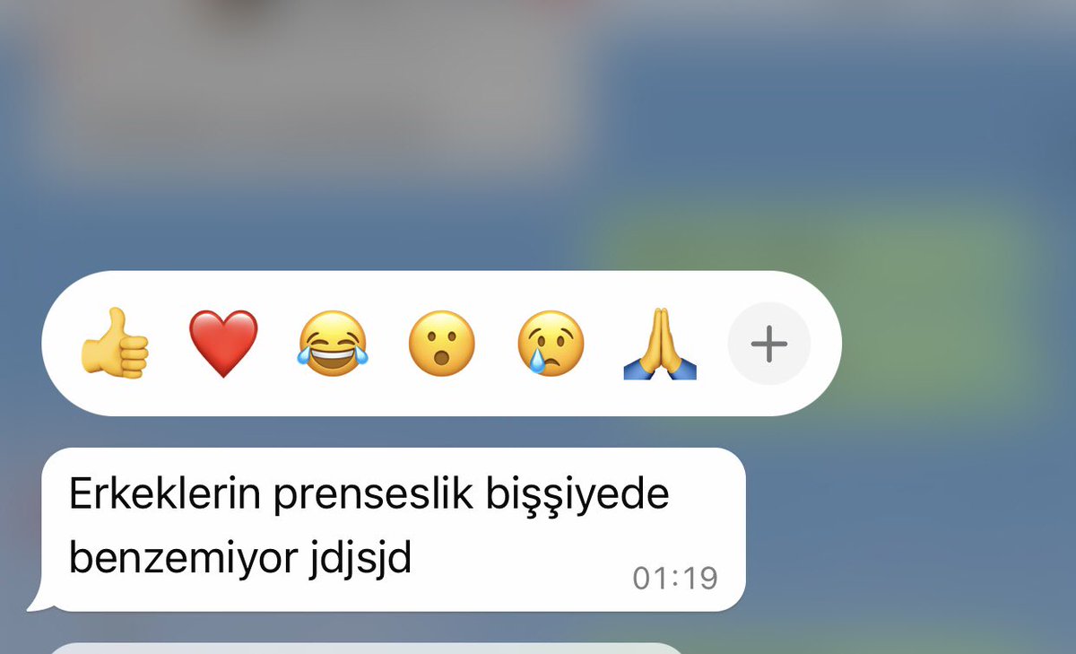 Bu gidişle askerlik yapmayada biz gidecez prenseslerimiz de asker yolu gözleyecek.