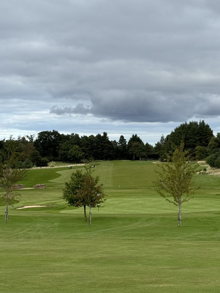 Sean Harkness (@seanharkness1) on Twitter photo Amazing place to chase a ball around today!⛳️ <a href="/GiffordGolf/">GiffordGolfClub</a> big shout out to <a href="/JamieMa92376149/">Jamie Martin</a> and <a href="/blairshearer3/">Blair Shearer</a> producing the goods day in, day out! Place is in fantastic condition 👌🏽🏌️♂️ Amazing place to chase a ball around today!⛳️ <a href="/GiffordGolf/">GiffordGolfClub</a> big shout out to <a href="/JamieMa92376149/">Jamie Martin</a> and <a href="/blairshearer3/">Blair Shearer</a> producing the goods day in, day out! Place is in fantastic condition 👌🏽🏌️♂️