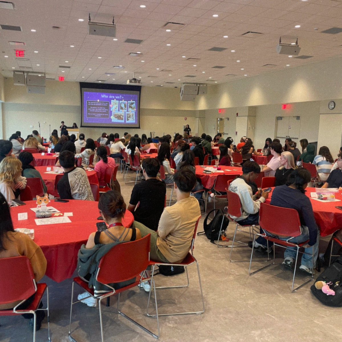 SBUCATNETWORK's tweet image. Thank you to everyone for coming to our first meeting of the year: 🐈A Whiskering Welcome🐈!!! We had so much fun getting to know you guys, and we hope you were able to learn about us as well. We can't wait to see you again for our next meeting, Cat-lympics 🥇!