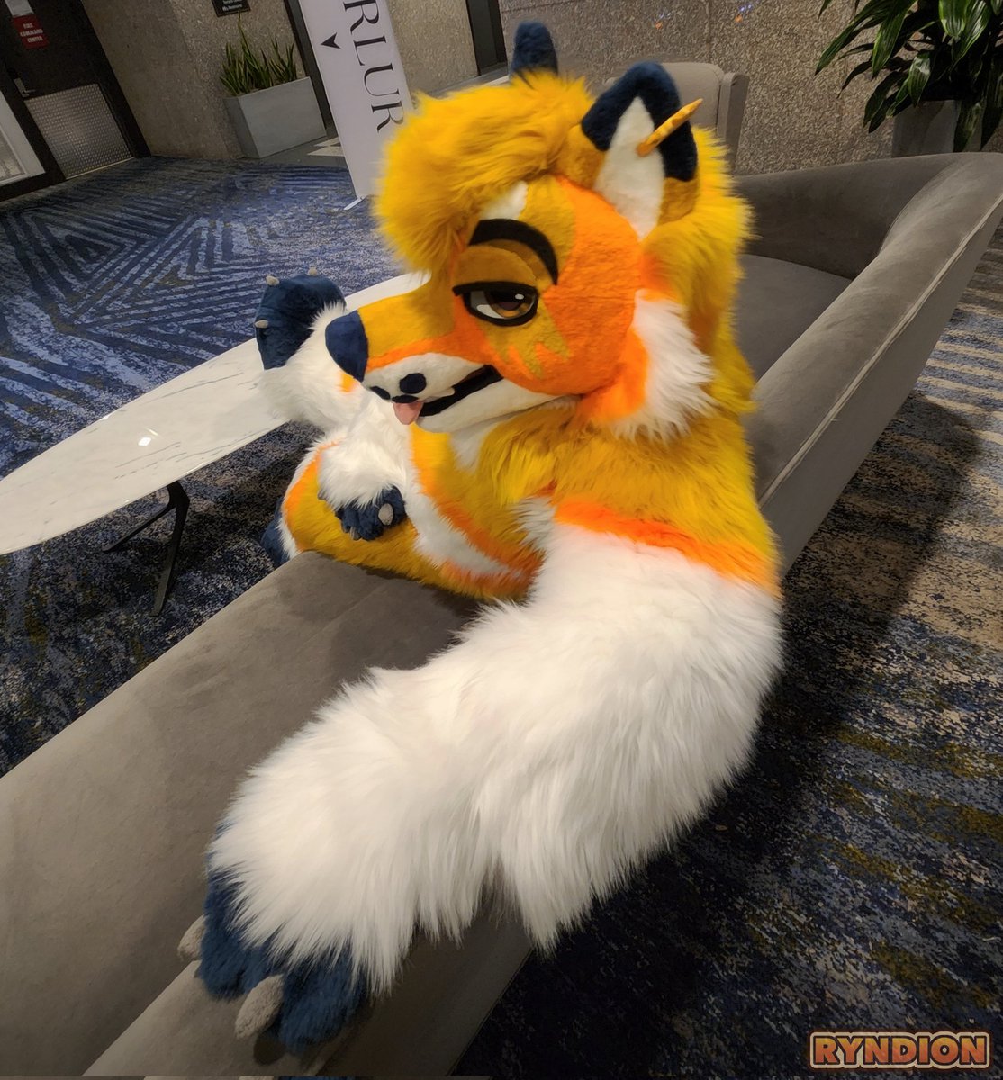 Come here often cutie?~