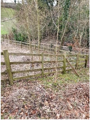 Rockingham Forest Vision tweet media