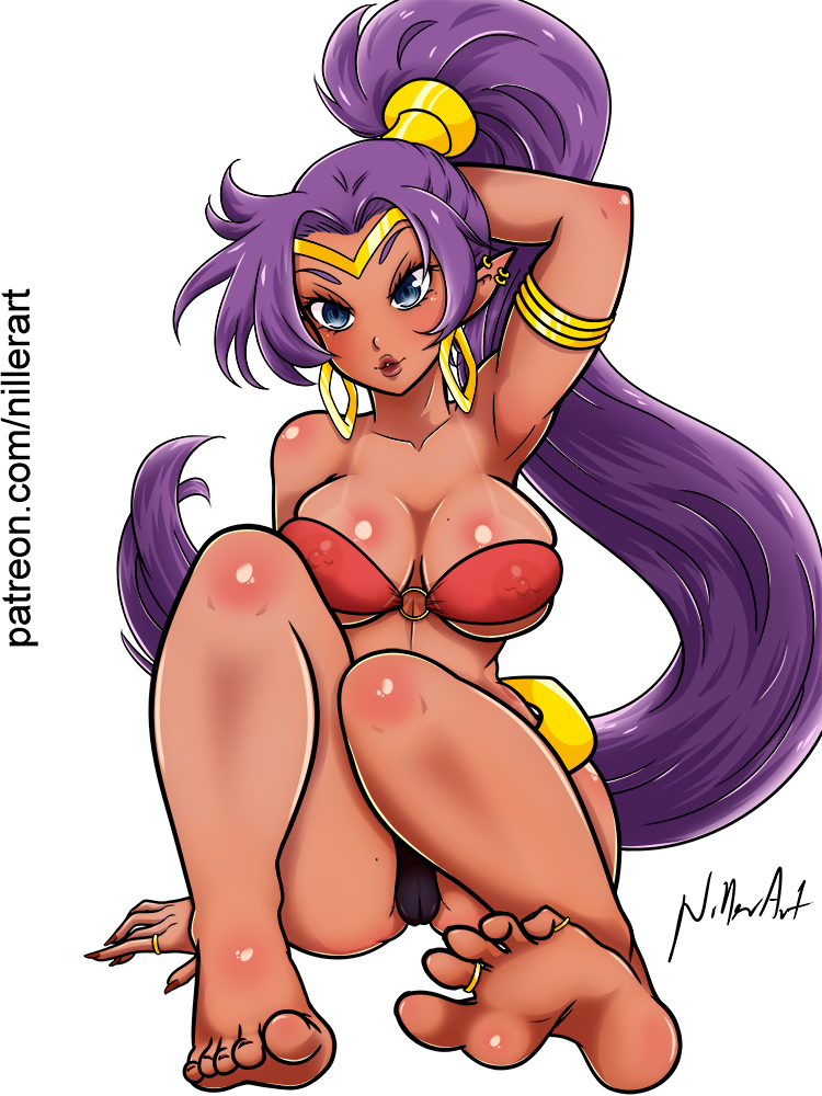 nillerart's tweet photo. #Shantae 🏖 https://t.co/Pp66CphAq7