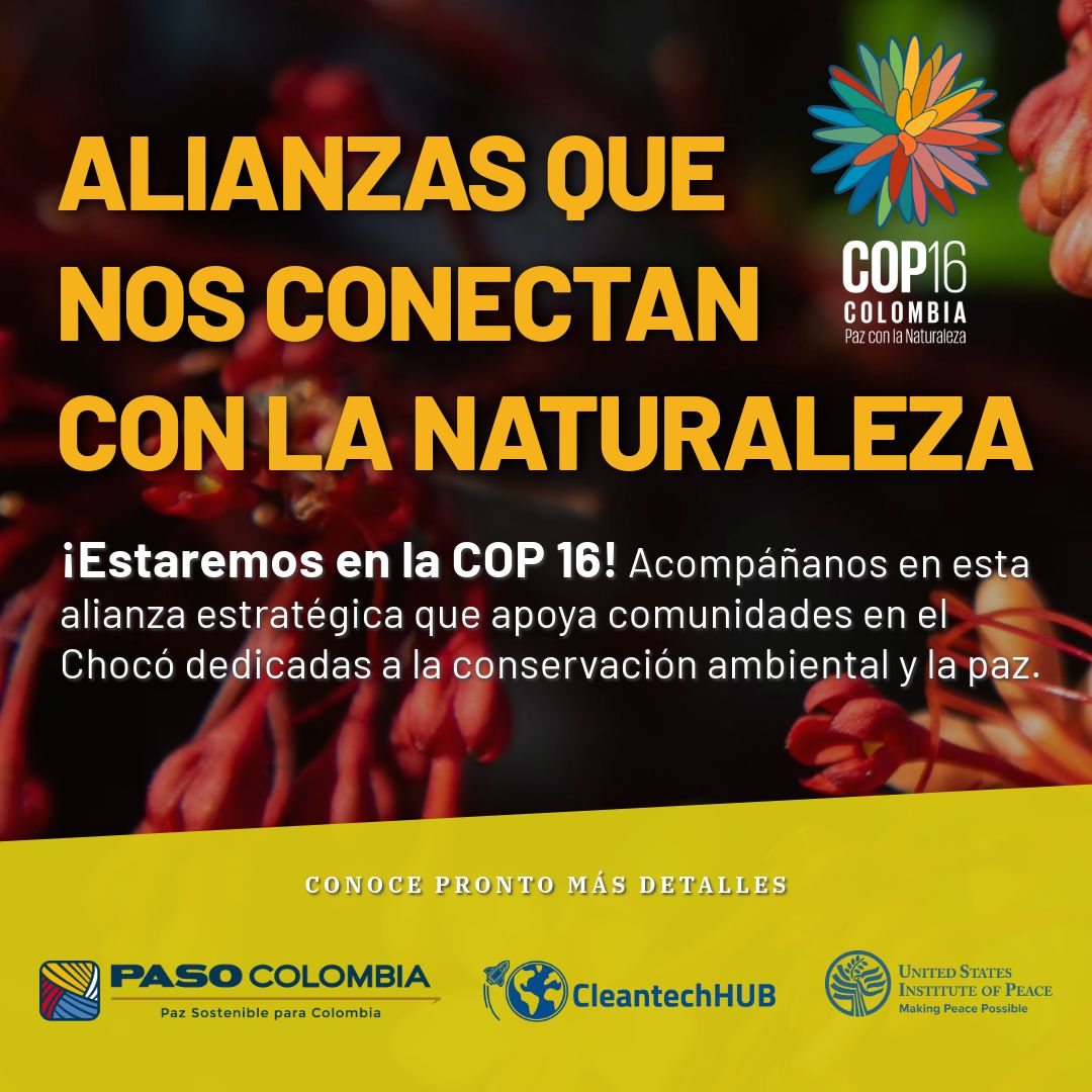 💫¡Estamos emocionados de participar en la #COP16! Se parte de esta alianza que impulsa proyectos de conservación ambiental y paz en el Chocó. 🌿🤝 ¡Pronto compartiremos más detalles!🌍✨#PazConLaNaturaleza