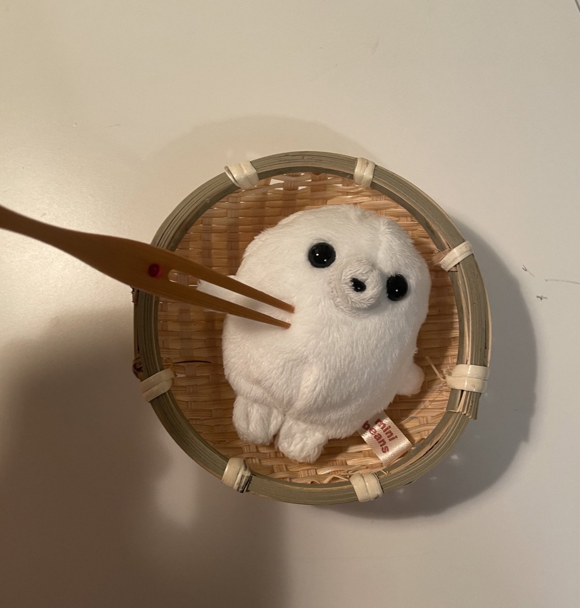 にう@あざらし (@f79364) on Twitter photo 