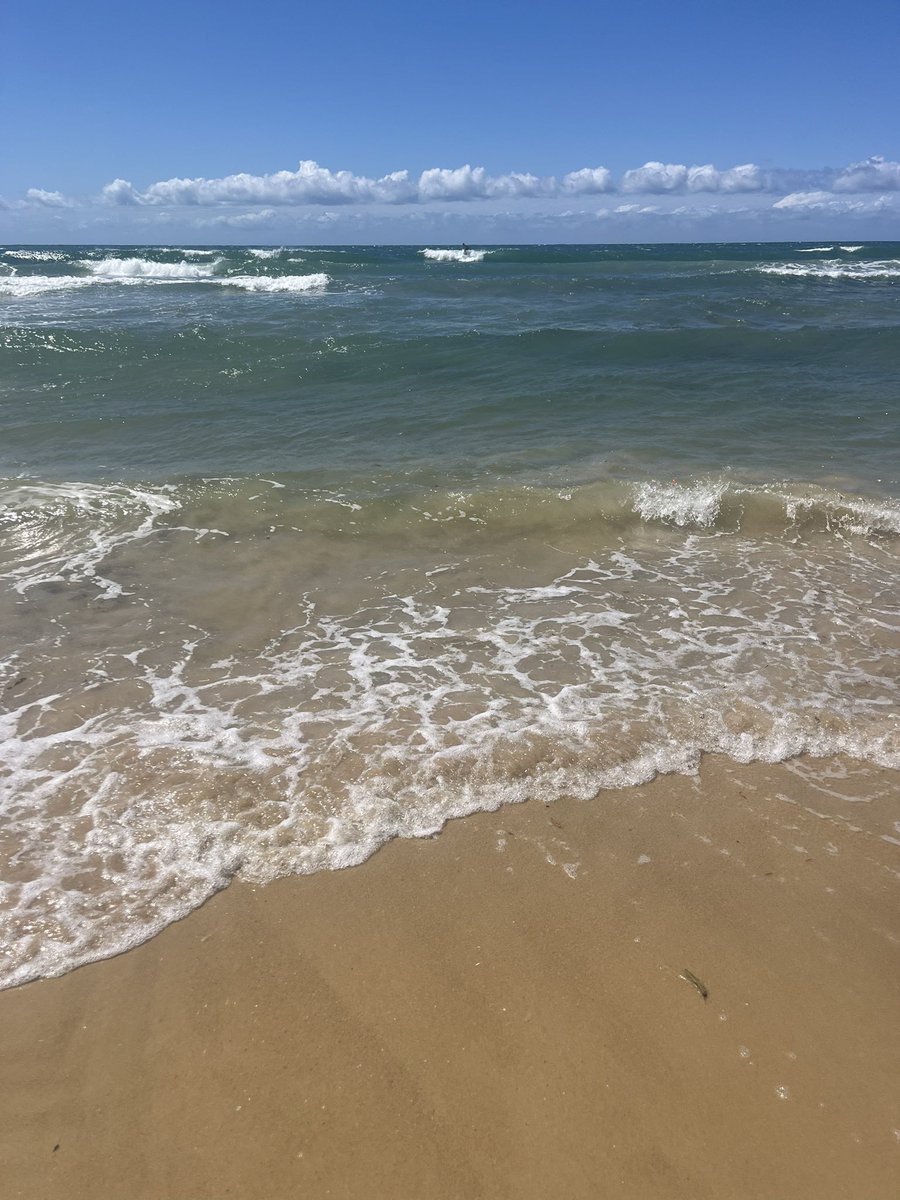 Jordan McManus tweet media