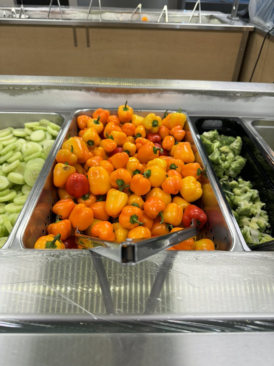 USD232Food's tweet photo. The lunchbox sweet peppers featured for Farm to Fork Friday today were delicious!! #232Food #FuelingKSKids https://t.co/jVC9jBgye6
