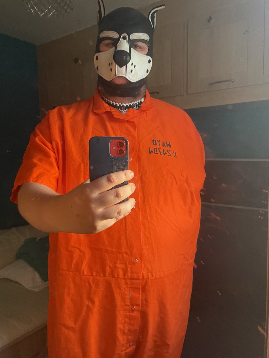 Pup Mayo tweet media