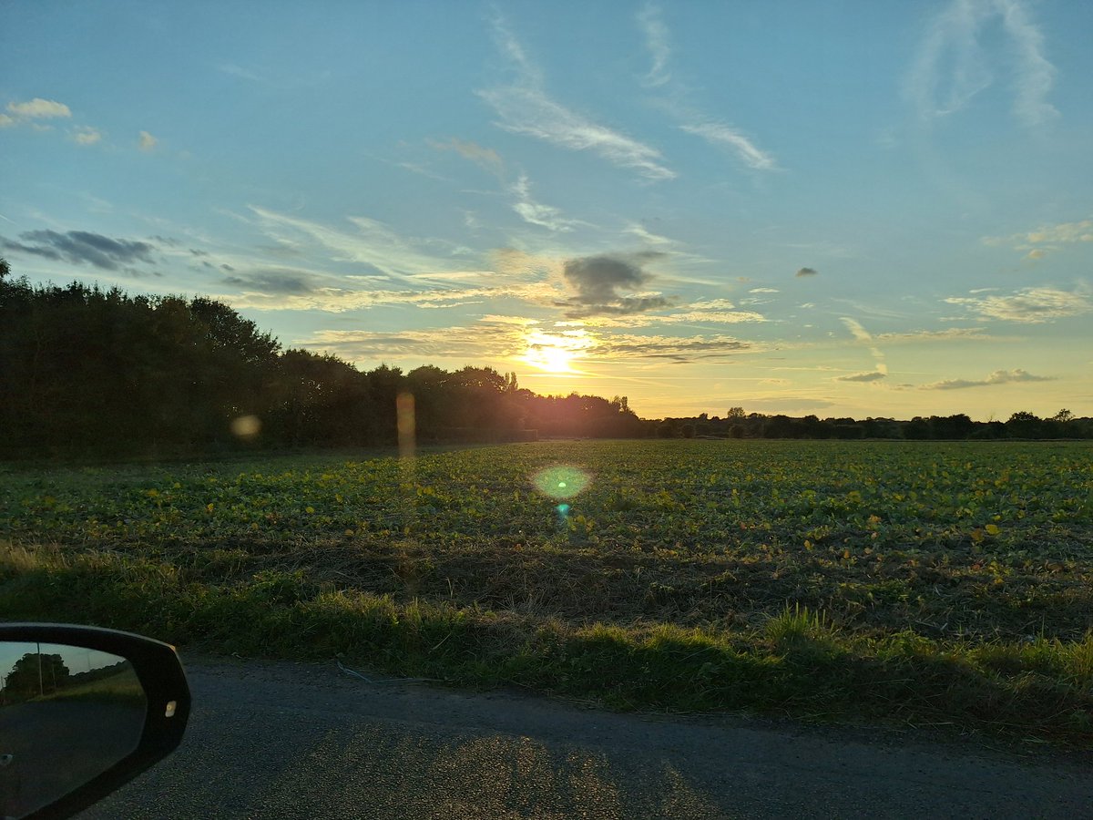 Thought you'd appreciate this view!! <a href="/Syndicate/">Tom</a>