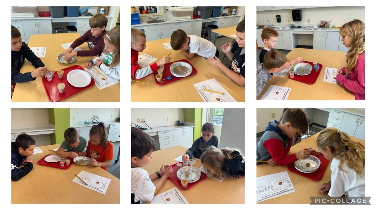 MrsGeiger5's tweet photo. First experiment in the science lab! Checking out a weathering and erosion lab using water, sand, and brown sugar! #cftogether #cfevs #thisischagrin https://t.co/c3W2a5Wblo