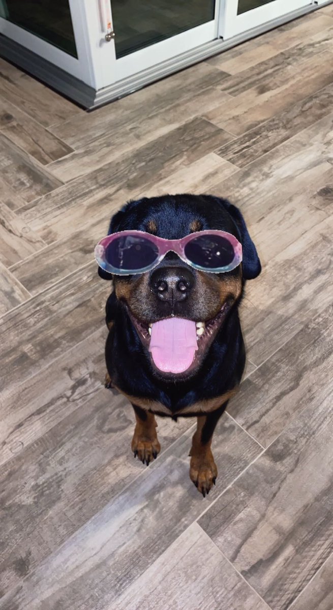 BarstoolStetson's tweet image. #GoodBoyFriday 🐶