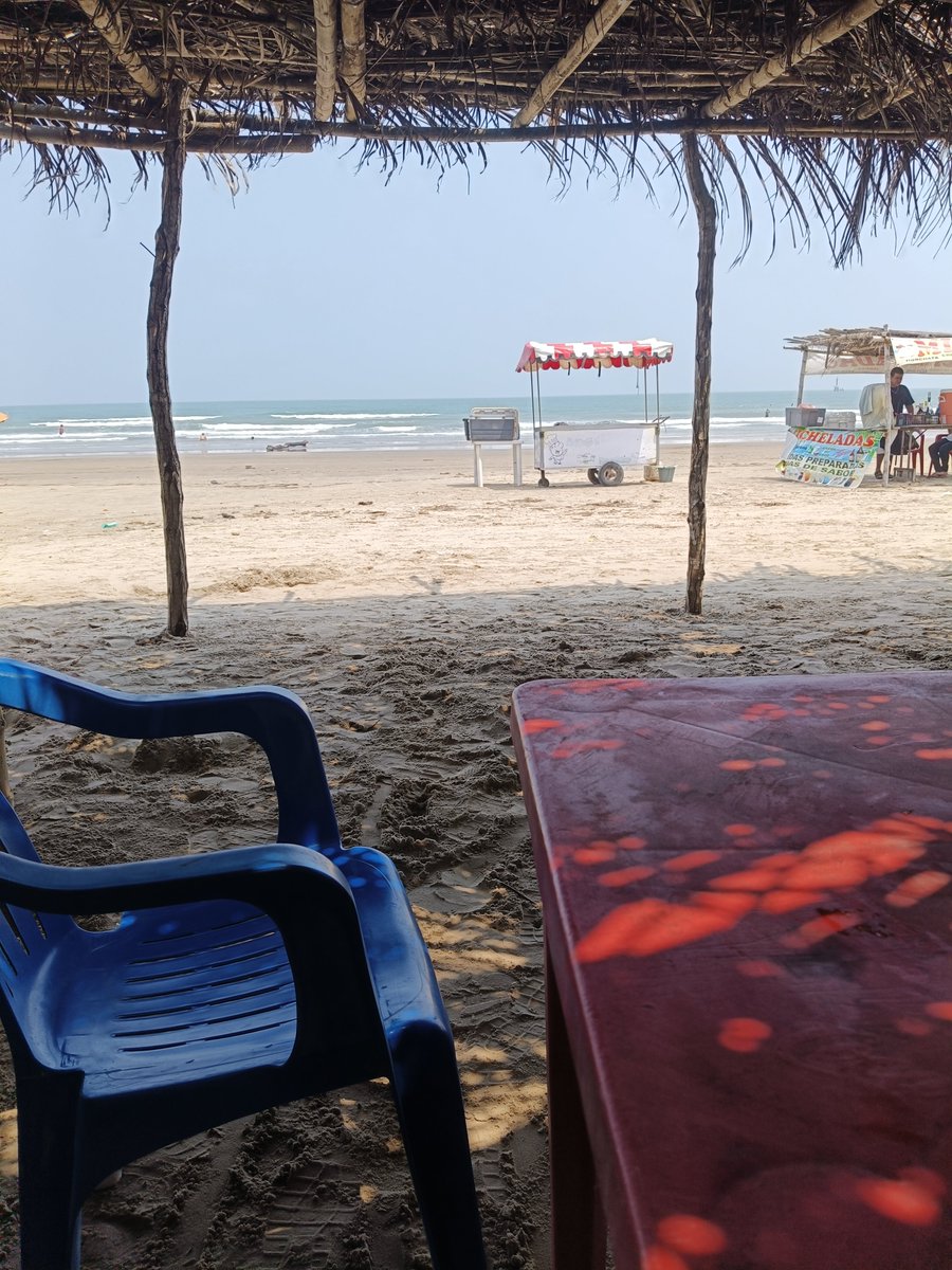 Excelente día, Alguien por aquí? (Tuxpan)