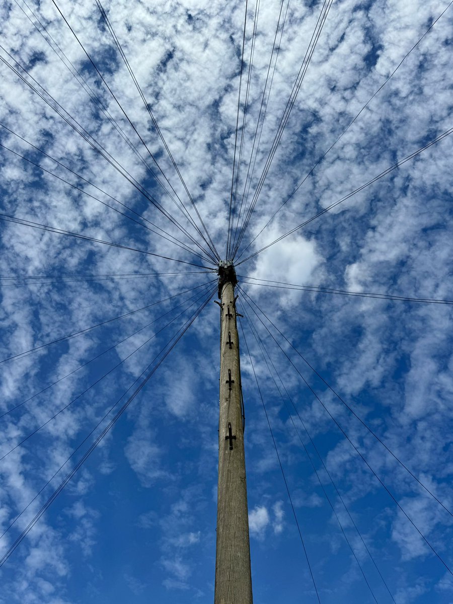 Elara J Brooks tweet media