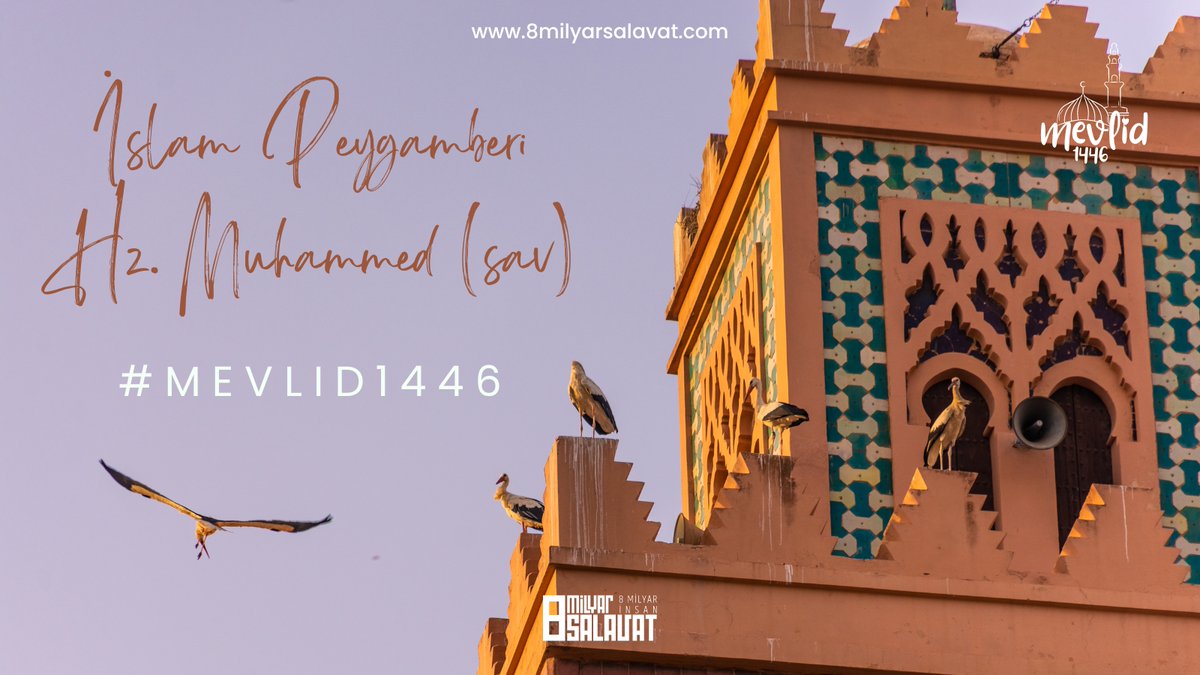 Muhlise Umay tweet media