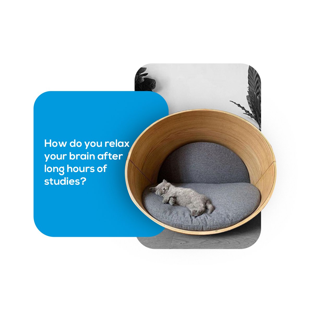 Give your brain the break it deserves! After long hours of study, unwind with a walk, deep breaths, or your favorite tunes. A refreshed mind is a more productive mind!
#MentalClarity #MindfulBreak #CalmAfterStudy #RefreshTheMind #MentalRest #StudyBalance #QuietTheMind #katon