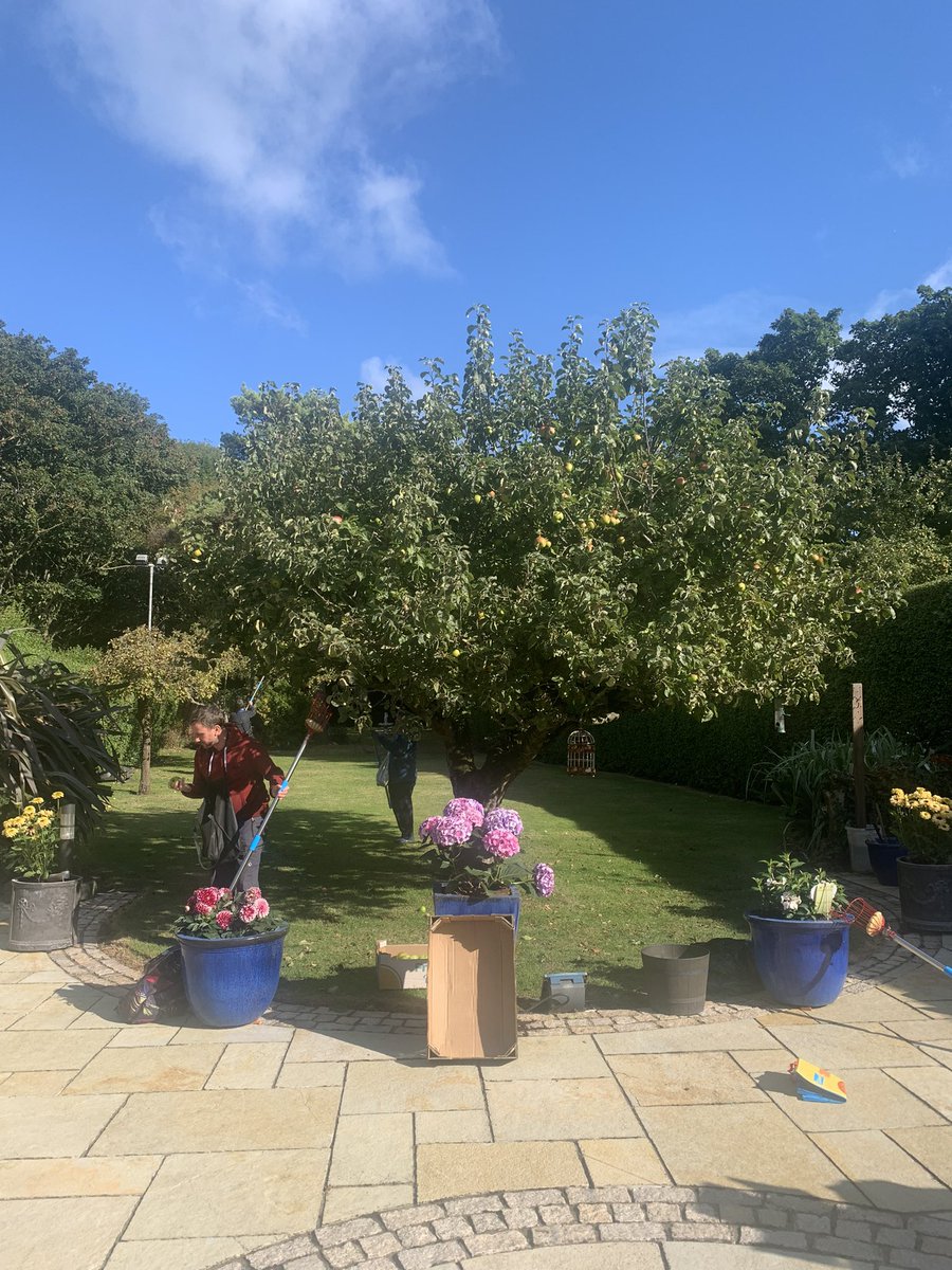 fallingfruit_ie's tweet photo. 🍎Three food charities, a group of bakers &amp; animals benefited from our Thursday &amp; Friday picks this week! Many thanks to harvesters - Barry, Marie, Theresa in Clontarf, &amp; Celeste &amp; Tom in Ballsbridge. Donors were Tom and Phyl in Clontarf &amp; Fergal in Ballsbridge. Huge thanks 🍎 https://t.co/E1PtrQq6LC