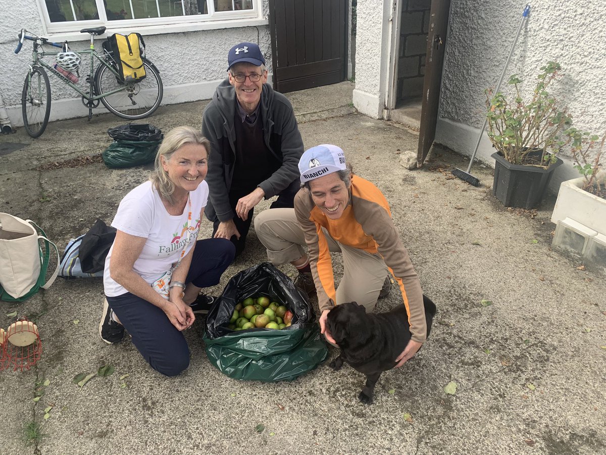 🍎Three food charities, a group of bakers &amp; animals benefited from our Thursday &amp; Friday picks this week! Many thanks to harvesters - Barry, Marie, Theresa in Clontarf, &amp; Celeste &amp; Tom in Ballsbridge. Donors were Tom and Phyl in Clontarf &amp; Fergal in Ballsbridge. Huge thanks 🍎