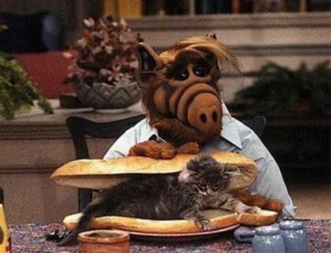 doprinositelj's tweet image. Prvi ilegalni dođoš u Americi koji je jeo mačke...
since 1986.
#cringedaily #ALF  #Melmac #Trump