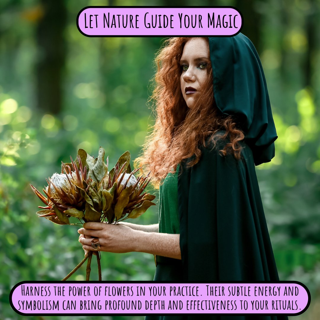 tdarkprimordial's tweet photo. 🌸 Floriography 🥀 Flowers aren’t just pretty; they’re full of magic. Each one speaks a language of its own, carrying intentions and messages. 💐 

#floriography #flowermagic #witchcraft #esoteric #mysticism #spiritualgrowth #flowerwitch #witchcommunity #magicpractice https://t.co/HzhrFmZiZk