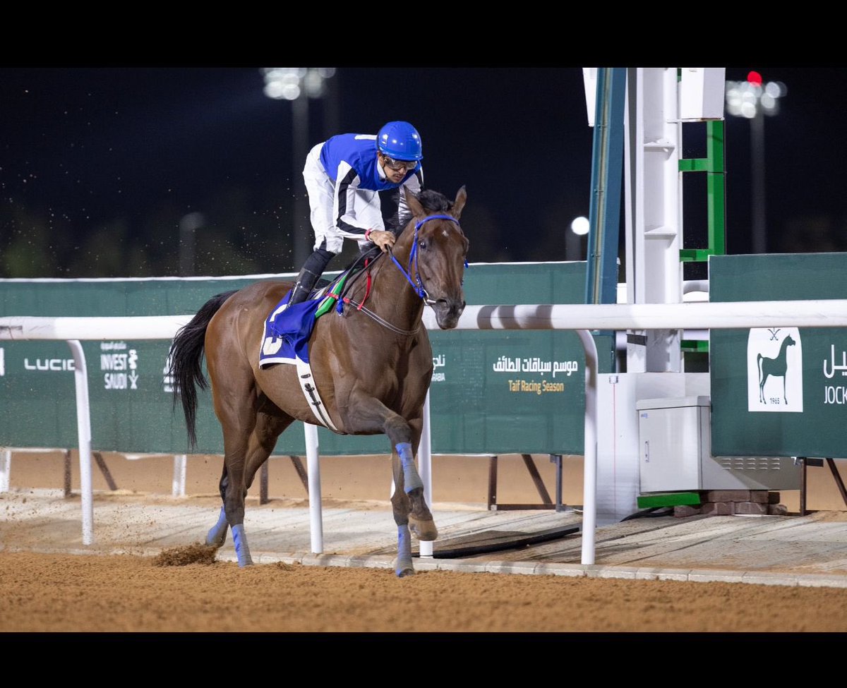 راشد الدابان tweet media