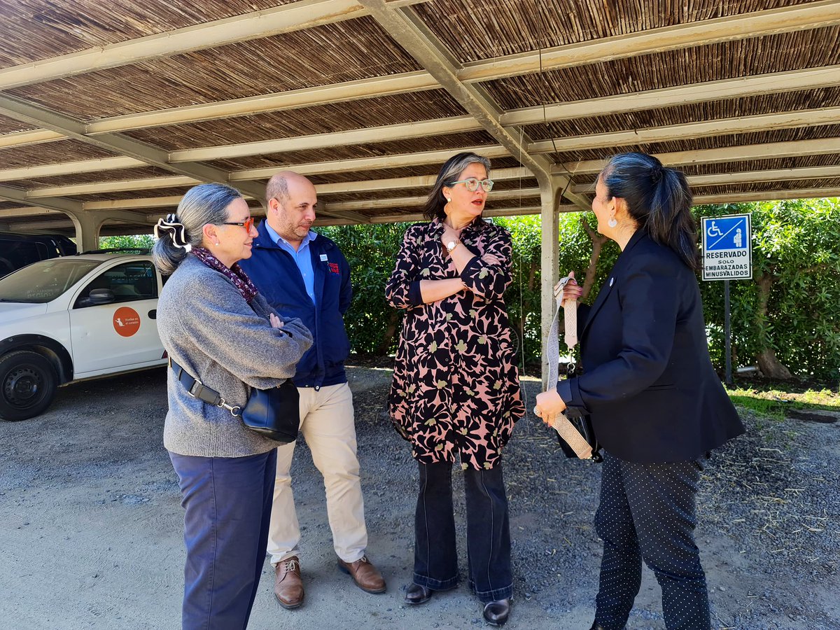 Vero Pardo tweet media