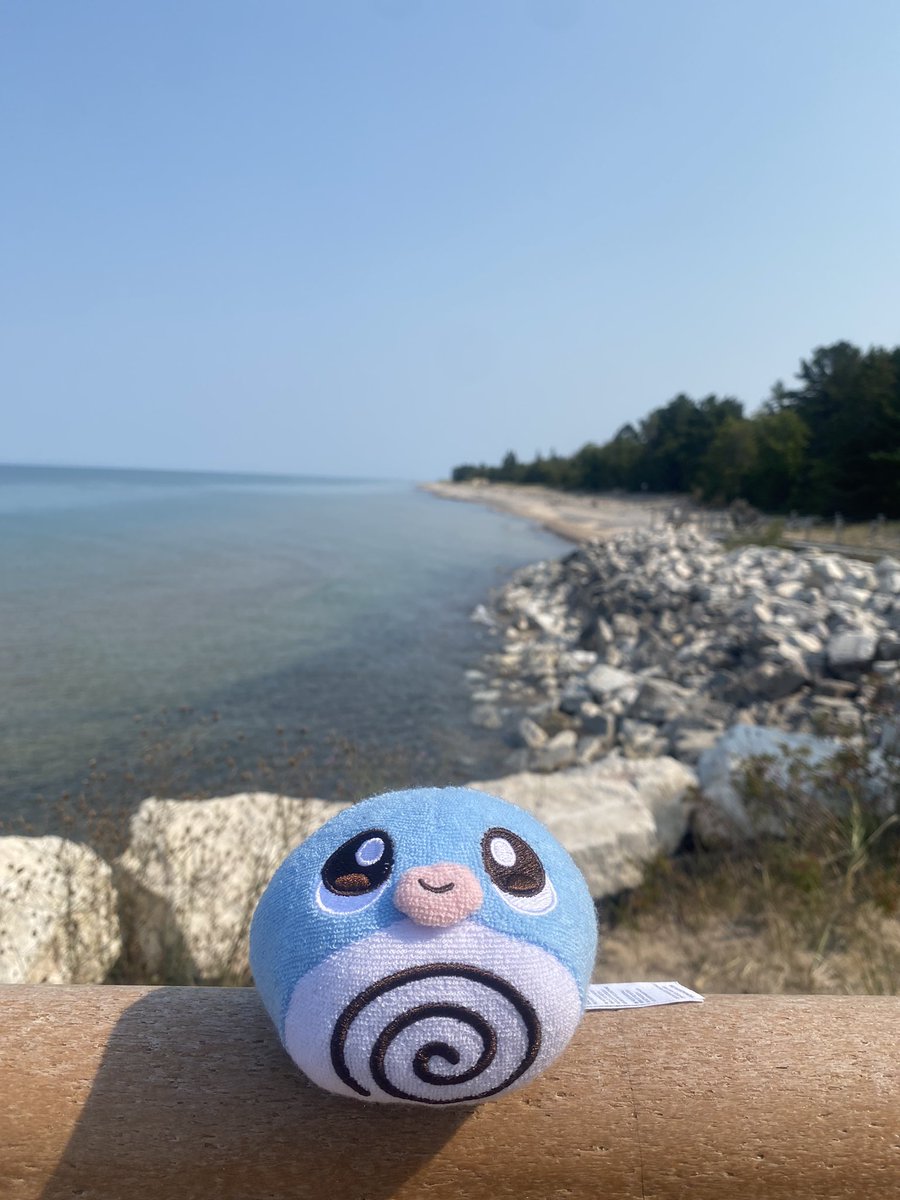 _Michelleangelo's tweet image. I will go outside but not without taking a little dude with me to enjoy it too