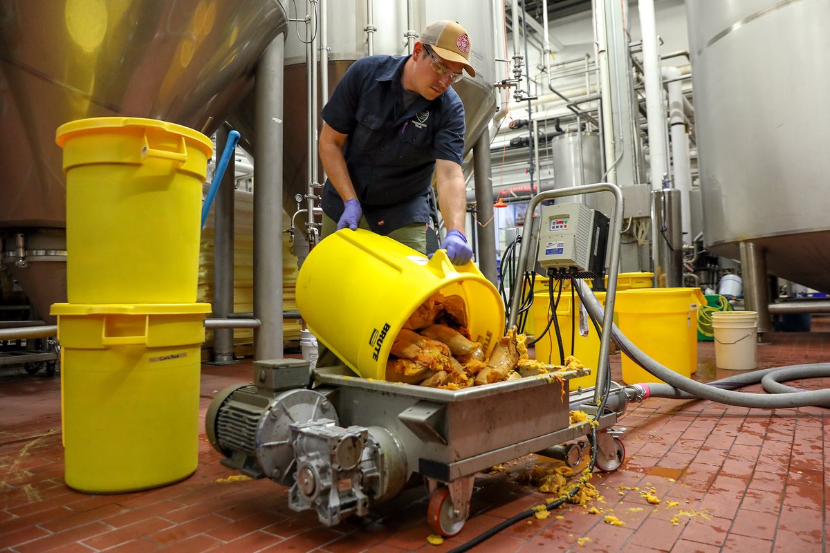 TroegsBeer's tweet photo. After roasting the 3,000-lbs. of PA longneck pumpkins, our brewing team purees them and adding the whole lot into the mash tun. Master of Pumpkins has been happily fermenting and is due to release in a few weeks! #WeMakeTroegs #PAbeer #MasterofPumpkins https://t.co/2XkEpkW9xM