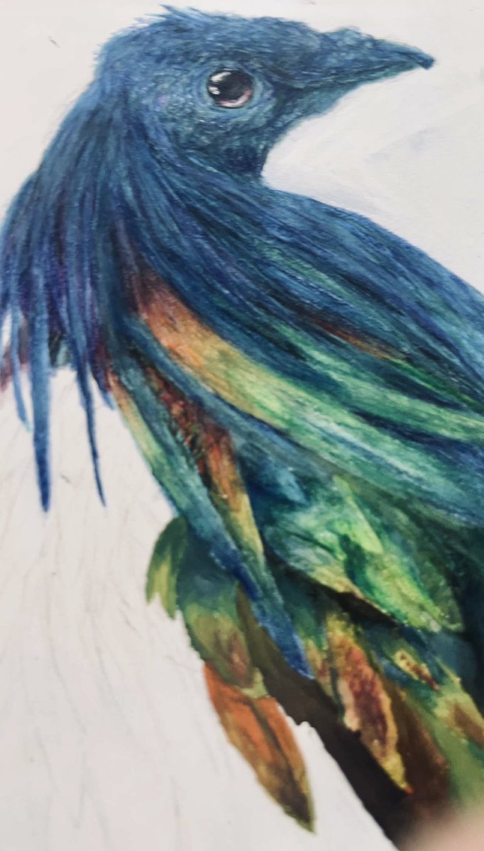 LHSArtandDesign's tweet photo. Another beautiful research study from Aidan @S6LHSYT today! ๐ฅฐ
#drawing @Natures_Voice @RSPB_Learning #SoutheastAsia #ornothology https://t.co/3PrkF9RHwX