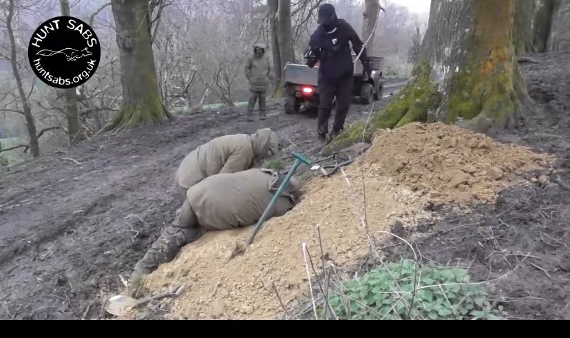 NeaafNw's tweet photo. Thank you people who repost and action our posts.  Fox hunting is a mafia sized criminal activity in England.  And it’s bloody and cruel.  The world needs to know. https://t.co/mN9L1qzqP8