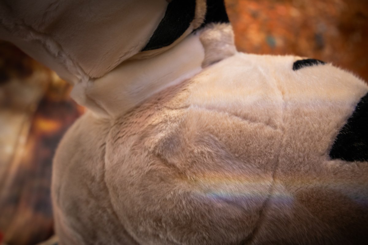 Nothing complements delicious cake better than a thicc tail, and this one has its own ZIP code. #FursuitFriday

📷Me
🍑<a href="/dprino/">Ashton the Jackalope</a> (worn by Kirb)
🧵@WolfSkin_studio