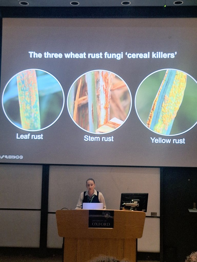 Brilliant talk - 2024 RKS Wood Award Lecture at @PPATH24 by Prof. Diane Saunders. It clearly showed how Science can be applied to make the world a better place. It's such an honour to be part of Saunders lab! <a href="/Saunders_Lab/">Diane Saunders</a> <a href="/BS_PP/">British Society for Plant Pathology</a>