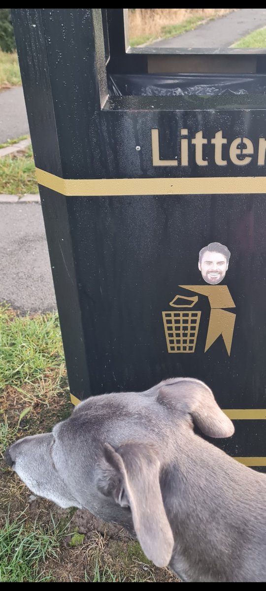 L0U1966's tweet photo. Kirby Muxloe Park (Leicestershire) waste bin has been Rylanised 🤷‍♀️🤣❤️ @Rylan https://t.co/84E7jlTzhB