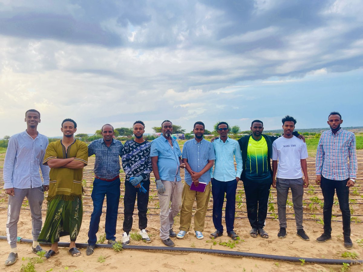 IbrahimBaaGeY's tweet photo. Habka kor u taagista (Staking ) khudrada gaar ahaan tamaandhada wa hab muhiim u ah qaab koritanka iyo badqabka geedkaba.
Tani wa shaqadi teamku maanta kaso qabteen beerta CPI FARM e deegaanka galooley.

https://t.co/B41F4dyfG9 https://t.co/AzlWSPZhwK