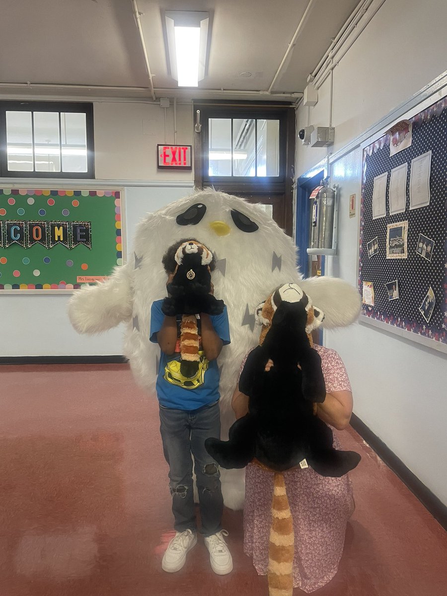 Public School 72 tweet media