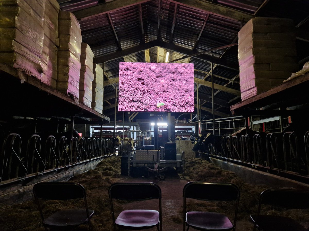 Heleen Lansink-Marissen (@heleenlansink) on Twitter photo Movienight <a href="/sixinchessoil/">Six Inches of Soil</a> in a beatifull scenery; the dairyfarm of <a href="/XanderBeks/">Xander Beks</a> !!
<a href="/NuffieldFarming/">Nuffield Farming</a> #NuffieldNL Movienight <a href="/sixinchessoil/">Six Inches of Soil</a> in a beatifull scenery; the dairyfarm of <a href="/XanderBeks/">Xander Beks</a> !!
<a href="/NuffieldFarming/">Nuffield Farming</a> #NuffieldNL
