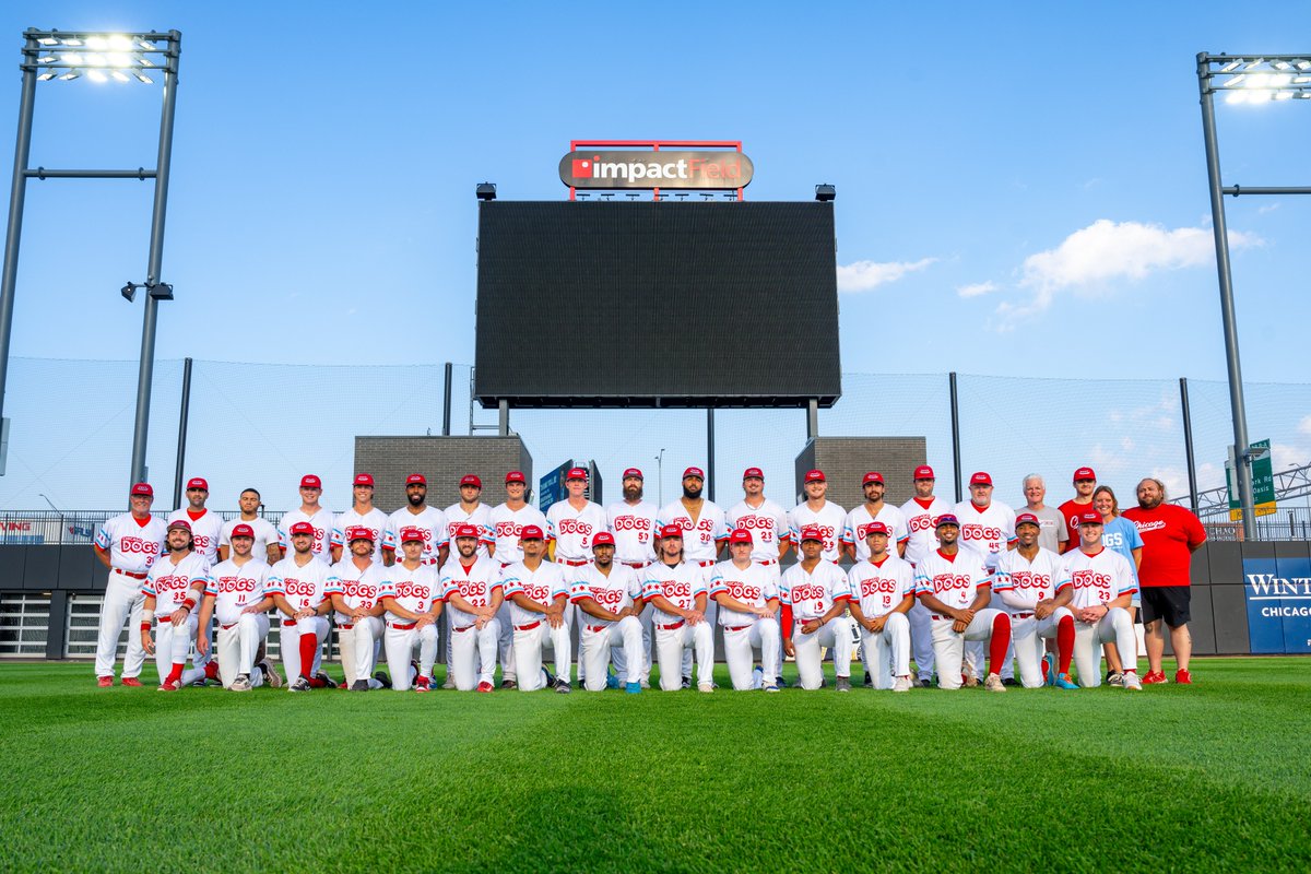 2024 Dogs! #NoKetchup