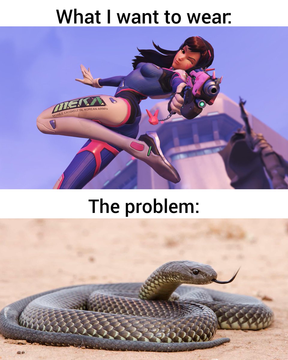 egg🐍irl #Gender Nonspecific Meme redd.it/1ffzrr1