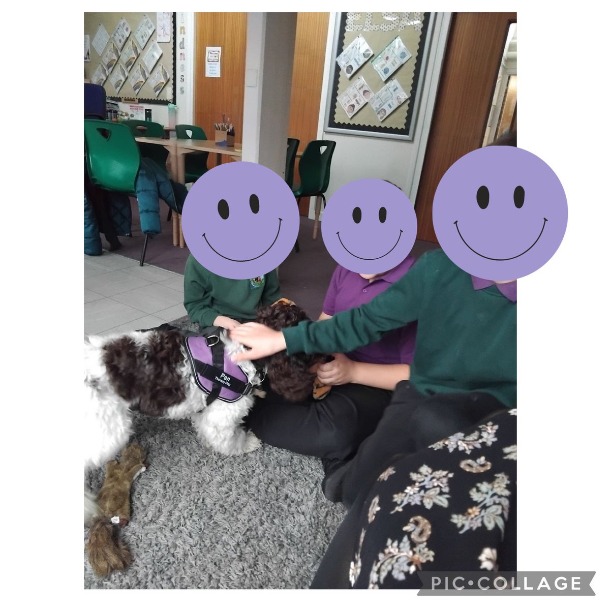 Pan_Therapy_Dog's tweet photo. Some amazing work done by Pan this week. For a 19 week puppy, he’s doing incredibly well. @Lift_Beacon @LiftSchools https://t.co/jU4PmG0U5t