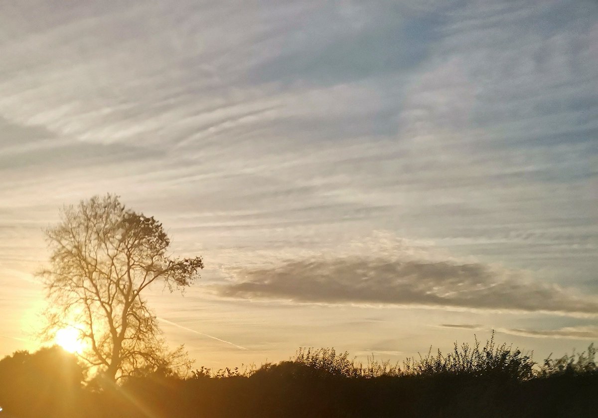 Anda Bowring tweet media