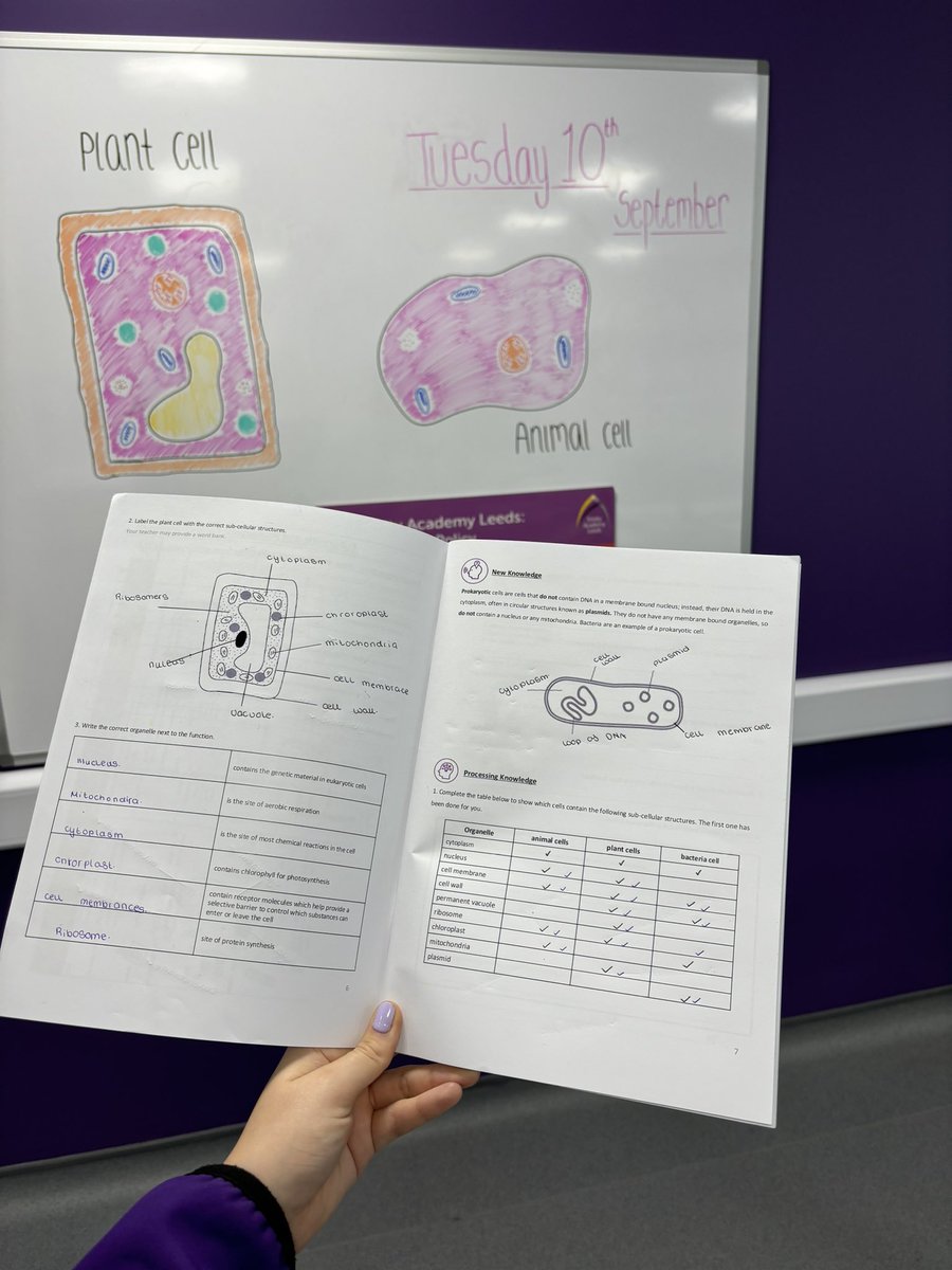 MissYoung2001's tweet photo. Science lessons in full swing! 🥼“Showing us your cool science experiments” made me smile A LOT. 😎Also, how lucky am I to have such a wonderful view of these amazing netball lessons?! Surrounded by beautiful work.💜⭐️ https://t.co/CsMoVDdJl6