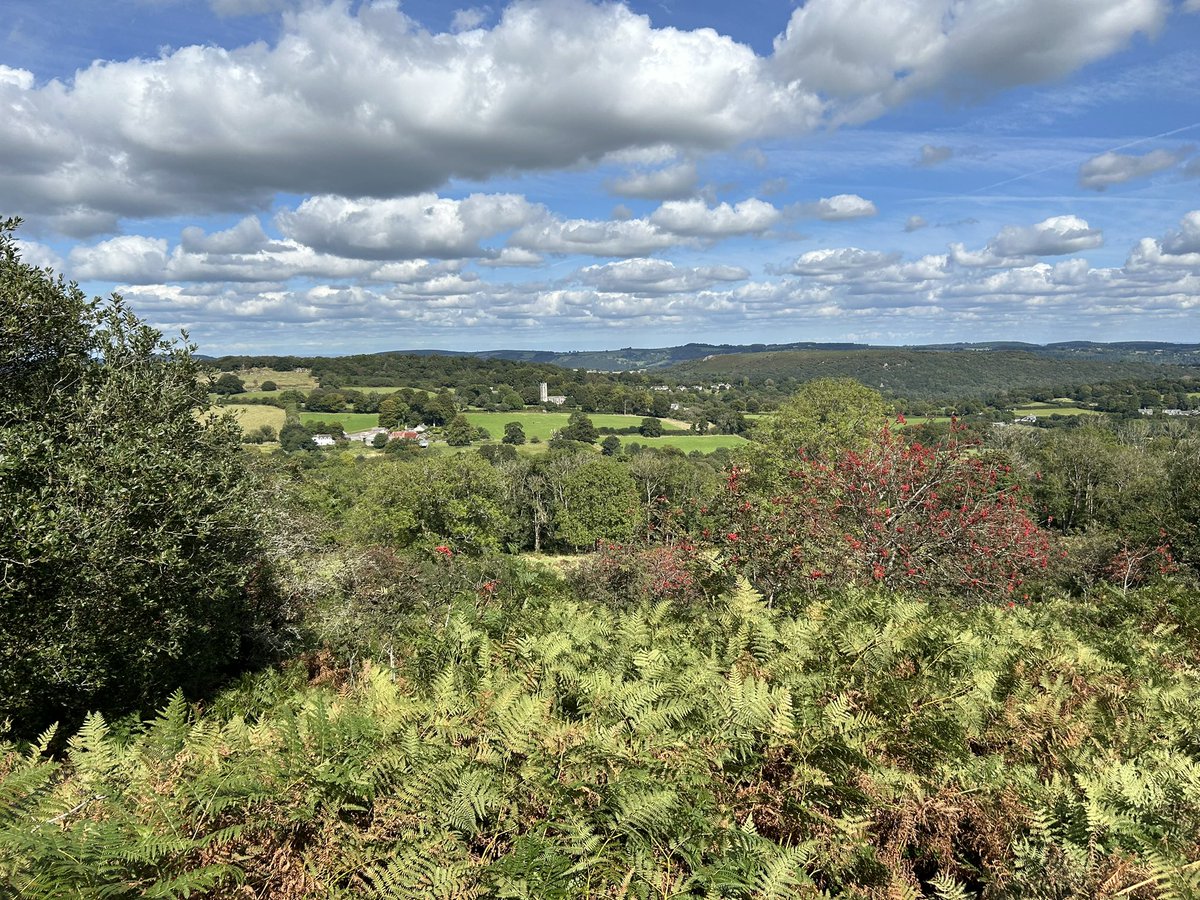 Debbie Phillips (@aloefromdebbie) on Twitter photo Beautiful afternoon for a Devon Dog Walk with writer <a href="/oRoseyo/">Rosey Oakes</a> and the lovely <a href="/mo_rescue/">LittleMoRescuePup</a> to Bowerman’s Nose. Beautiful afternoon for a Devon Dog Walk with writer <a href="/oRoseyo/">Rosey Oakes</a> and the lovely <a href="/mo_rescue/">LittleMoRescuePup</a> to Bowerman’s Nose.