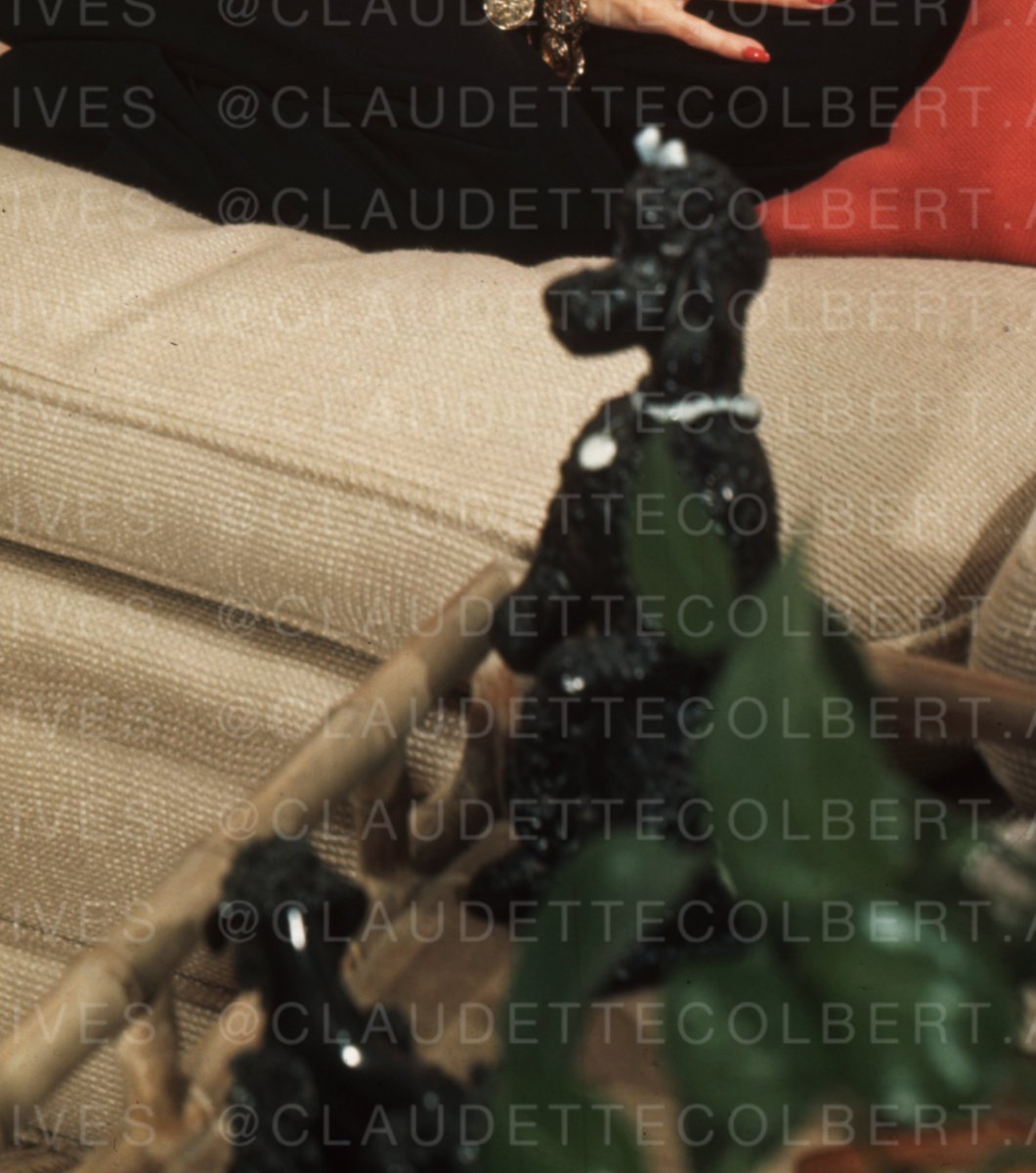 CColbertarchive's tweet photo. Another piece of trivia are the poodle figurines (photo from Christie's sold auction). This figurine is not just ordinary; they're special since it was a miniature of her beloved dogs.
3/4 https://t.co/nPVjIavIAo