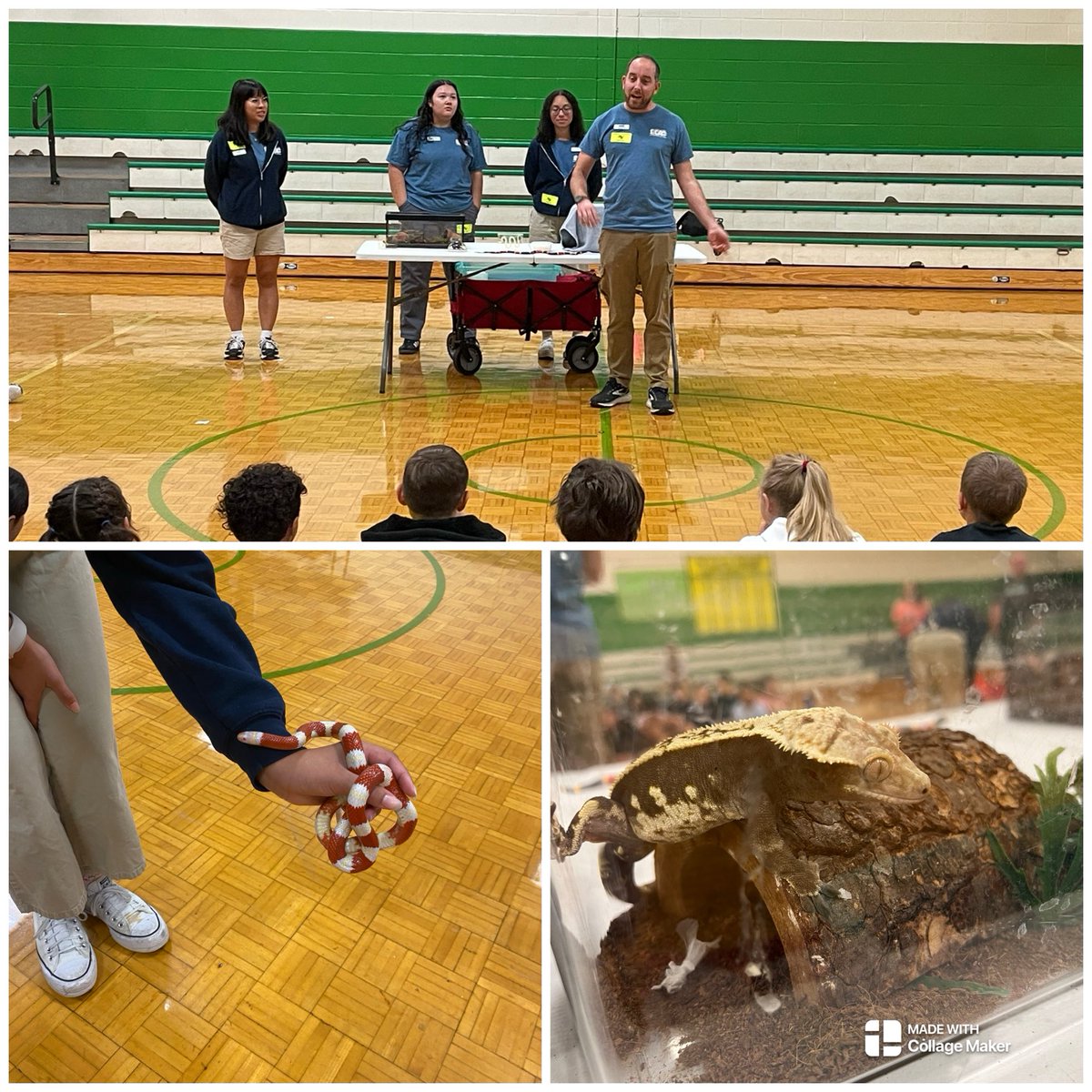 Ashley Witt tweet media